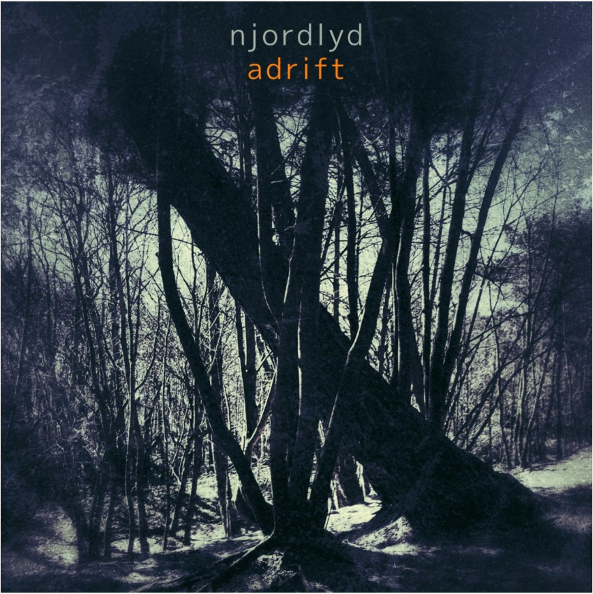 Njordlyd : “The Absence of Noise” and Finding Solace in Music