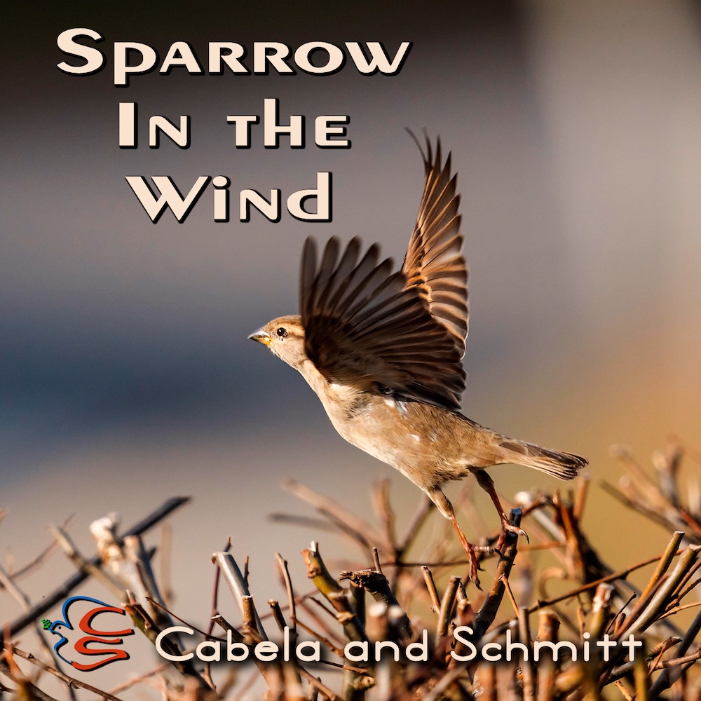 Sparrow in the Wind – Cabela and Schmitt: A Soulful Reflection on Freedom and Fear